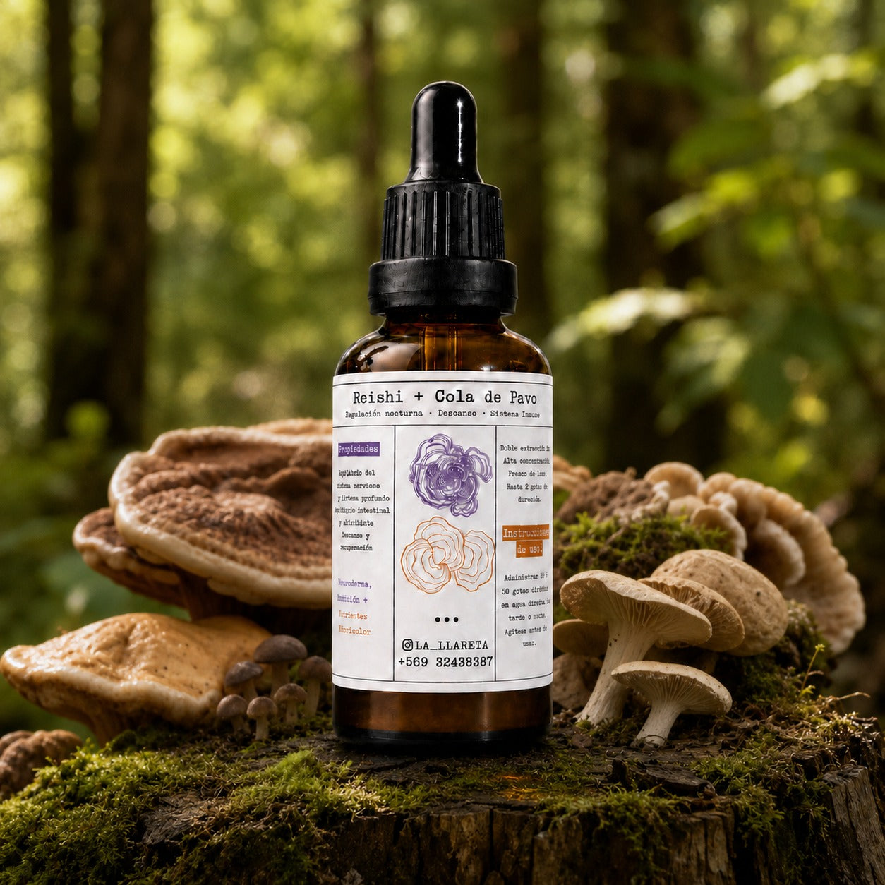 Blend PM · Reishi + Cola de Pavo · Frasco XL 50 ml