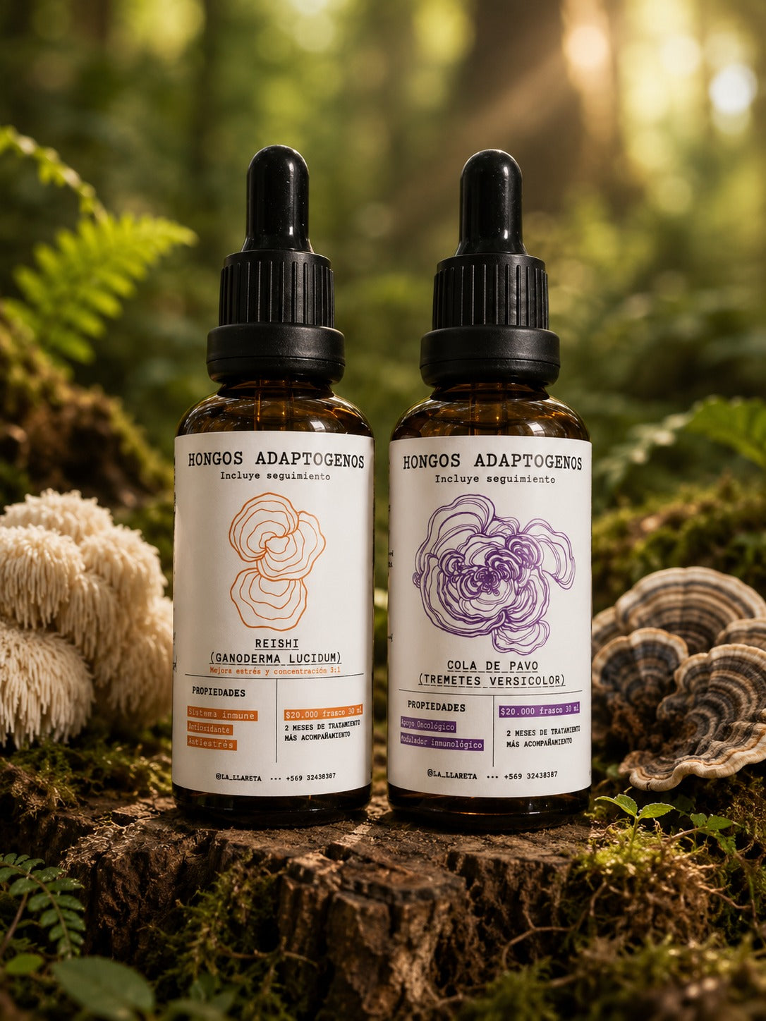 FUERZA INMUNE & SERENIDAD · BLEND PM