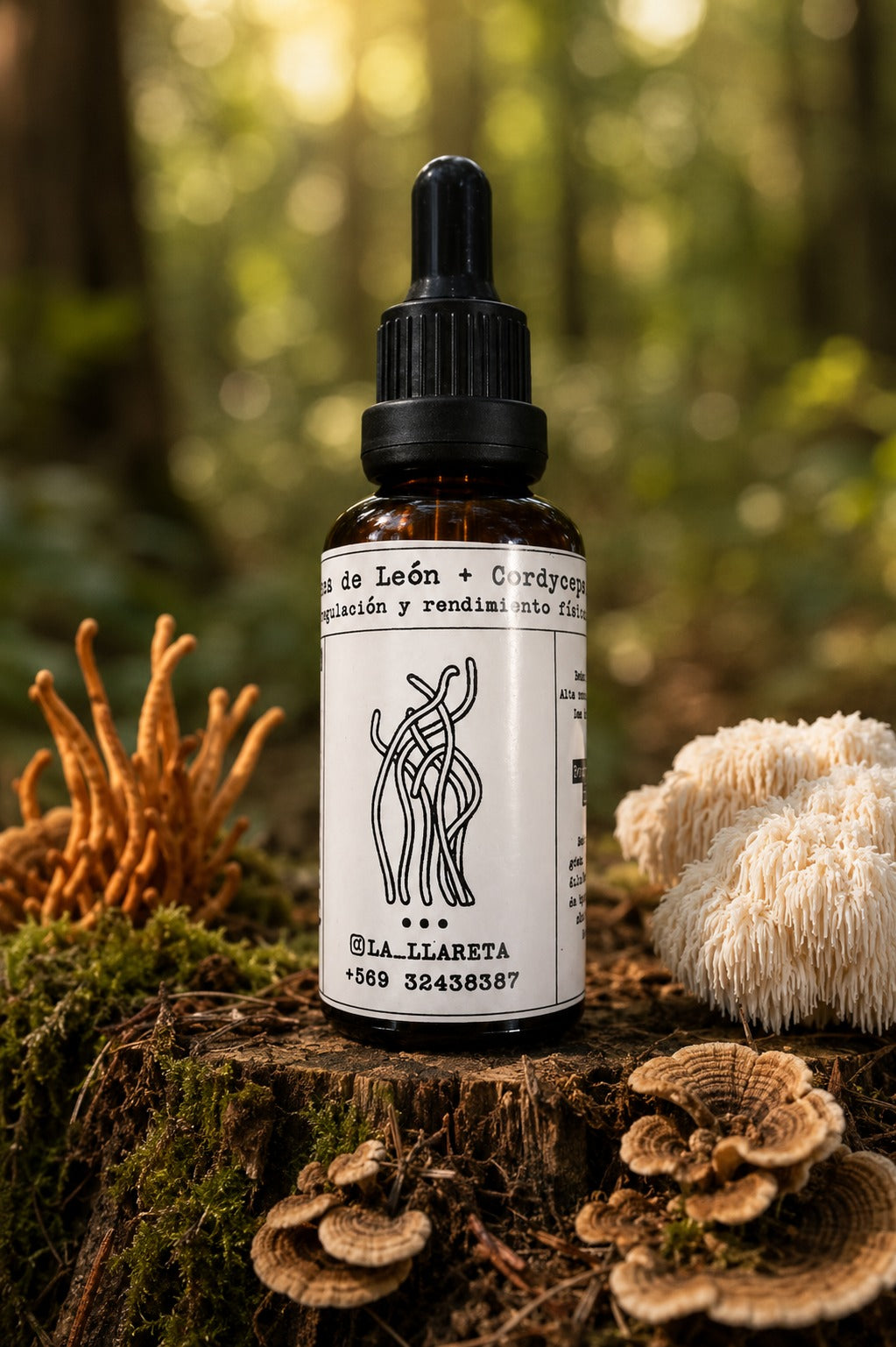 Blend AM – Energía y Foco (Melena de León + Cordyceps)Frasco XL 50 ml
